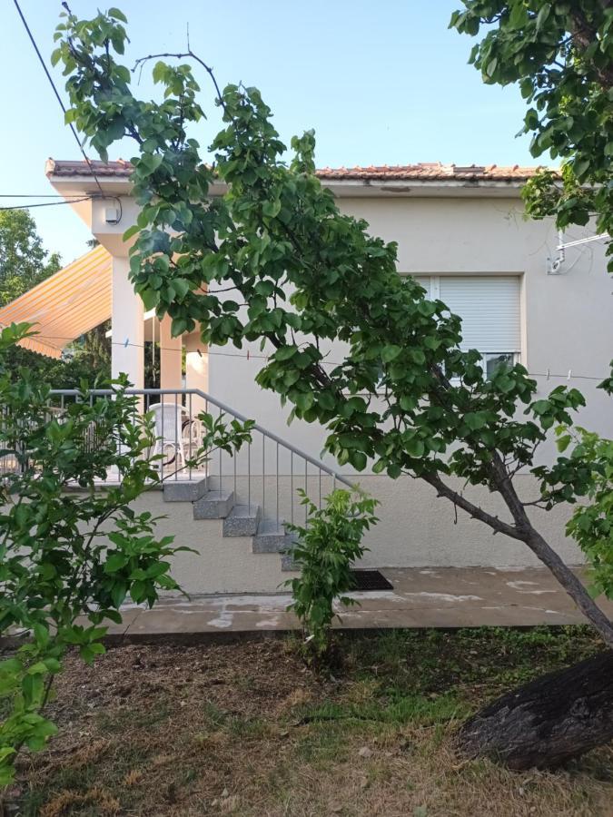 House - Sarah Kaštela